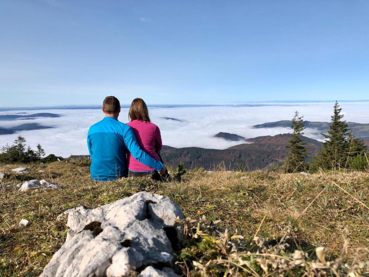 Ferienwohnungen Jodlbauerhof Weyregg Bagian luar foto